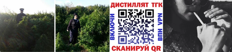 Купить  Муром  Дистиллят ТГК Wax 