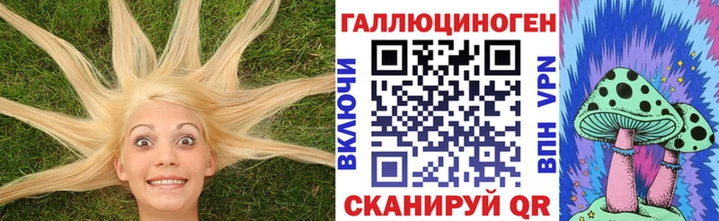 Купить закладки  Муром  Псилоцибиновые грибы GOLDEN TEACHER 